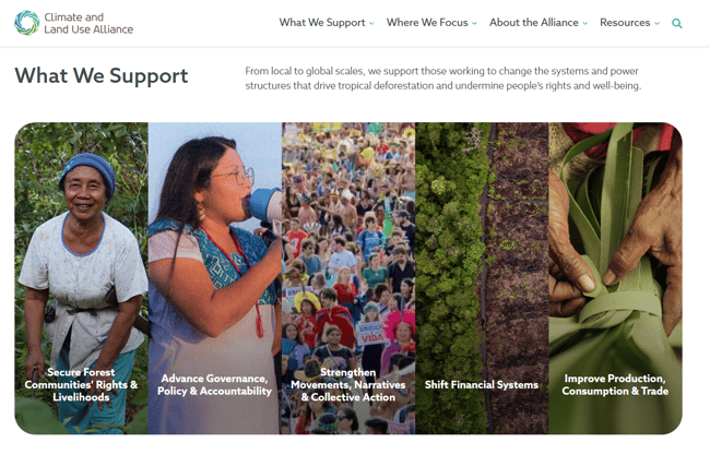 clua website