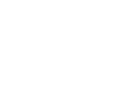 World Pulse